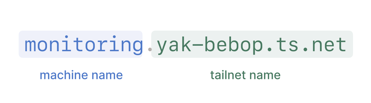 Tailscale machine vs. tailnet names